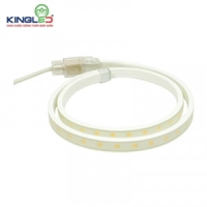 ĐÈN LED DÂY 5050 8W ĐƠN SẮC