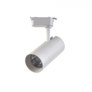 Đèn LED Rọi Ray 30W