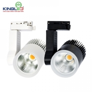 Đèn Rọi Ray 20W Beryl
