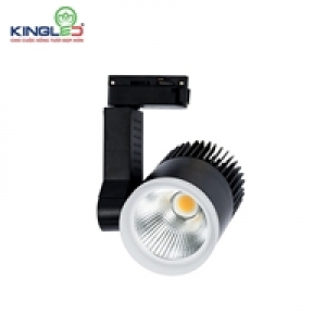 ĐÈN RỌI RAY 20W VỎ ĐEN 