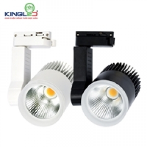 Đèn Rọi Ray 30W Beryl