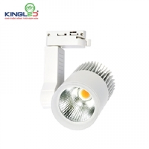 ĐÈN RỌI RAY 30W DTL-30 (VỎ TRẮNG)