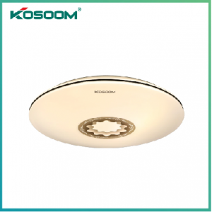 Đèn LED ốp trần Mẫu Đơn 24W